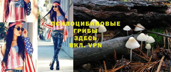 spice Киренск
