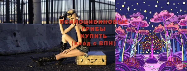 spice Киренск