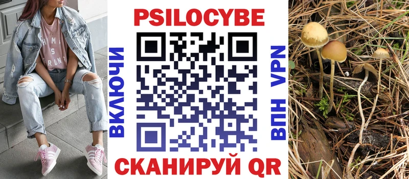Галлюциногенные грибы Cubensis Чудово