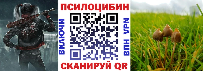 Галлюциногенные грибы мицелий  купить наркотики сайты  маркетплейс как зайти  Чудово 